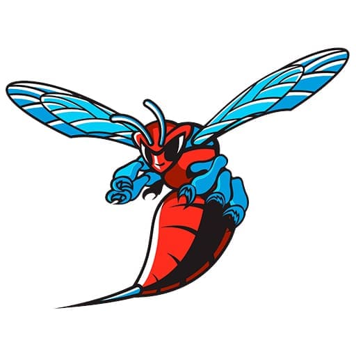 Delaware State Hornets Women's Basketball Schedule 2026–2027
